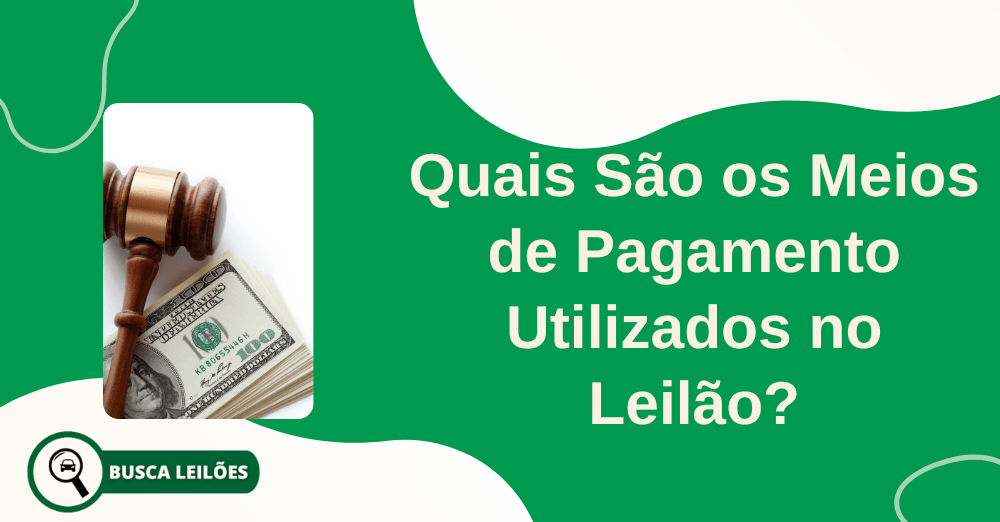 Quais São os Meios de Pagamento Utilizados no Leilão?